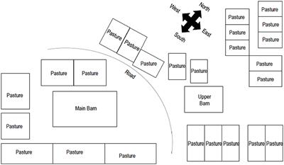 Risk factors associated with an outbreak of equine coronavirus at a large farm in North Carolina